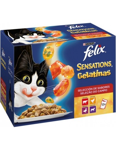 Purina Felix Sensations Adult Mix Selección de Carnes 12 x 100 gr 7613035093973
