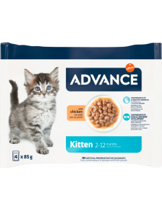Advance Cat Kitten...